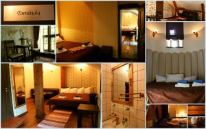 alatskivi lossi sviidid