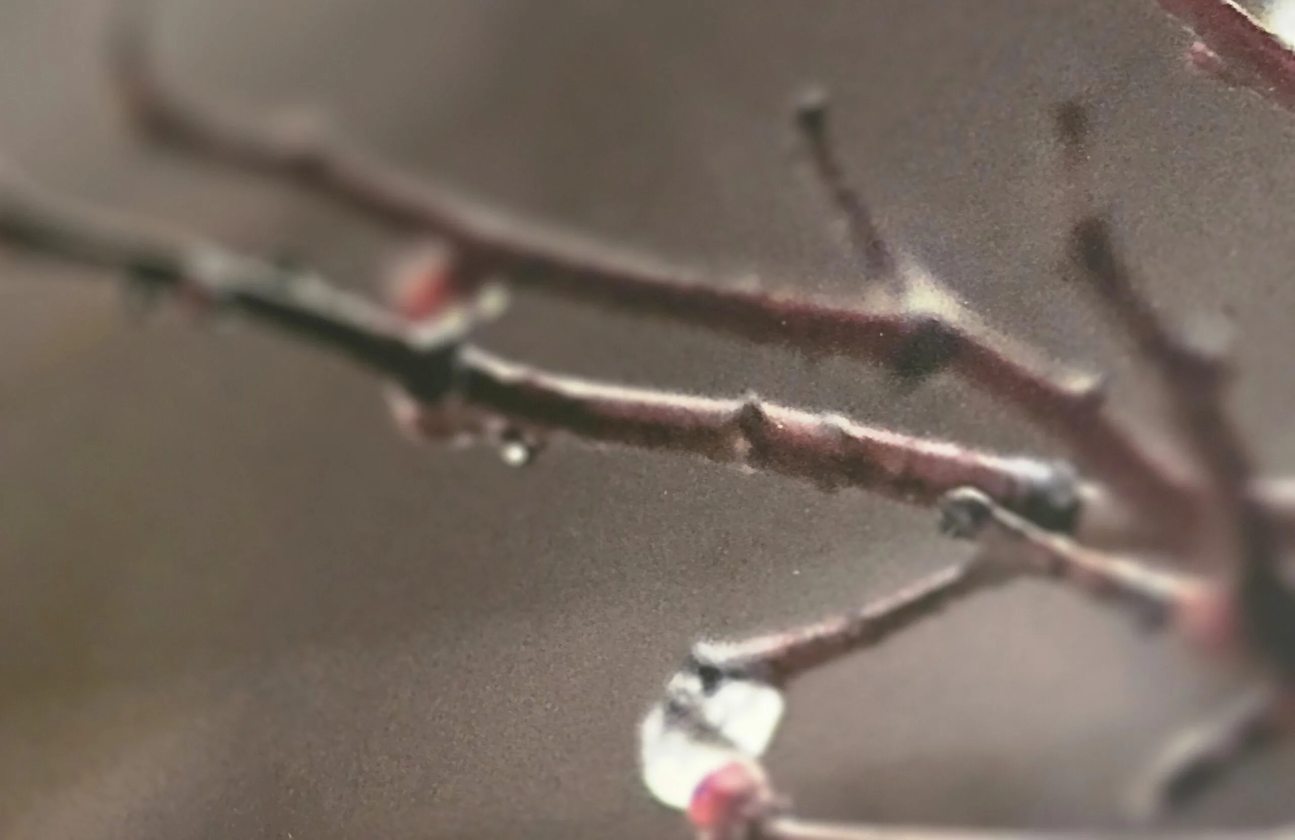 Esimene tuur näitusel "Vaimulained / vaimupained"